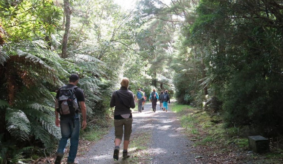 wainui water walk