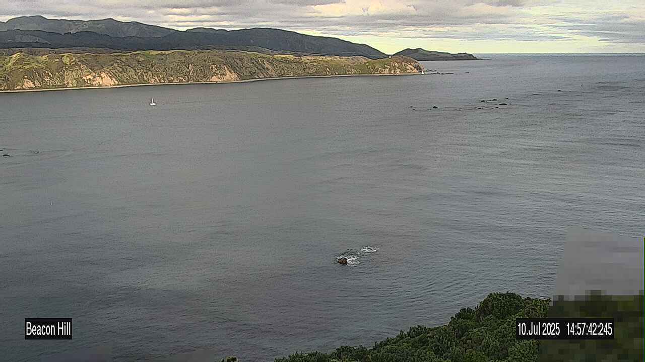 webcam location