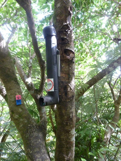 Pelifeed bait station filled with anti-coagulant bait