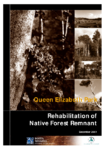 Queen Elizabeth Park ,Paekakariki - Rehabilitation of Native Forest Remnant preview