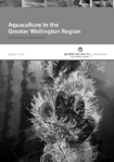 Aquaculture in the Greater Wellington Region : A Discussion Document preview
