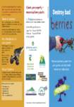 Destroy Bad Berries - Remove bad berry plants from your garden and help birds restore our native bush preview