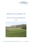 LakeSPI survey of Lake Kohangatera 2013 preview