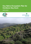 Key Native Ecosystem Plan for Karehana Bay Bush 2018-2021 preview