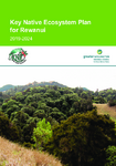Key Native Ecosystem Plan for Rewanui 2019-2024 preview