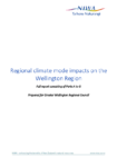 Regional climate mode impacts on the Wellington Region preview