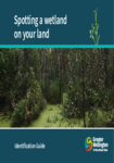 Spotting a wetland on your land preview