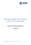 Wellington Region climate change extremes and implications preview