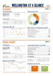 Wellington Region 2013 Economic Overview preview