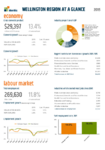 Wellington Region 2015 Economic Overview preview