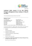 Public Minutes of Civil Defense Emergency Management group 25 June 2021 preview
