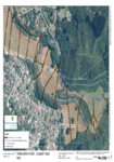 Appendix C: Land Ownership Maps preview