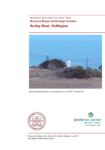 Research Report on Heritage Features (NZHPT: Cox, Kelly and Wagstaff, 2011) preview