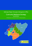 Wellington Region Emergency Management Office Community Resilience Strategy preview