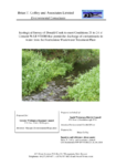 Appendix 9b: Ecological Survey of Donald Creek preview