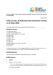 Public minutes of the Environment Committee meeting on 31 March 2022 preview