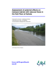 Assessment of potential effects on  instream habitat with reduced flows in  the Hutt River at Kaitoke preview