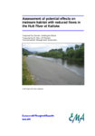 Assessment of potential effects on instream habitat with reduced flows in the Hutt River at Kaitoke preview