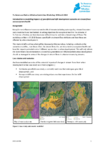 Intro to modelling impacts of greenfield and infill development scenarios on stream flows and ecosystem health for 29 March 2018 preview