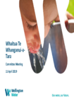 Whaitua Te Whanganui-a-Tara Committee Workshop Wellington Water Presentation/Thursday 11 April 2019 preview