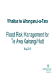 Whaitua Te Whanganui-a-Tara Committee Flood Protection Management Presentation/Monday 22 July 2019 preview