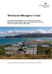 An overview of the Wellington City, Hutt Valley and Wainuiomata Wastewater and Stormwater networks and considerations of scenarios that were assessed to improve water quality preview