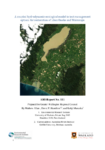 A coupled hydrodynamic-ecological model to test management options for restoration of lakes Onoke and Wairarapa preview