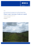 Modelling Permitted Groundwater Use in the Ruamāhanga Whaitua preview