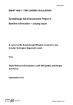 Draft Ruamāhanga Social Assessment Project 1 - Baseline information preview