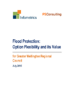 Flood Protection: Option Flexibility and its Value  preview