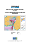 Wellington Harbour Navigational Risk Assessment preview