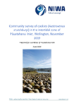 Community survey of cockles (Austrovenus stutchburyi) in the intertidal zone of Pāuatahanui Inlet, Wellington, Nov 2019 Survey preview