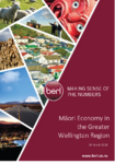 Māori Economy in the Greater Wellington Region preview