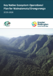 Key Native Ecosystem Operational Plan for Wainuiomata-Orongorongo 2023-28 preview