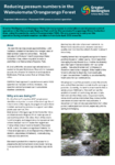 Reducing possum numbers in the Wainuiomata/Orongorongo Forest preview