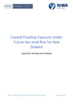 Coastal Flooding Exposure Under Future Sea-level Rise for New Zealand preview