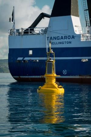 Wellington coastal buoy moored in Wellington Harbour (Photo: Stu Mackay, NIWA)
