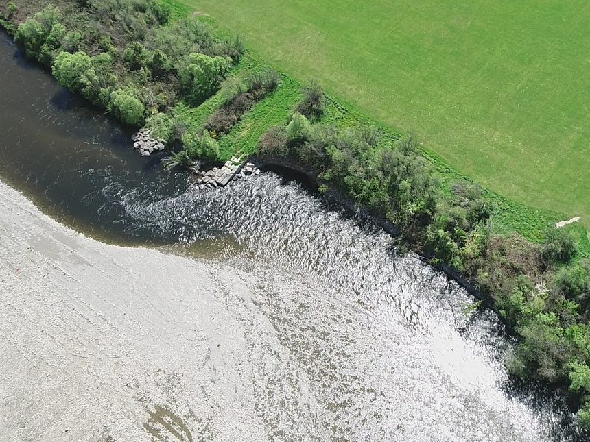 Erosion along the bank of Te Awa Kairangi