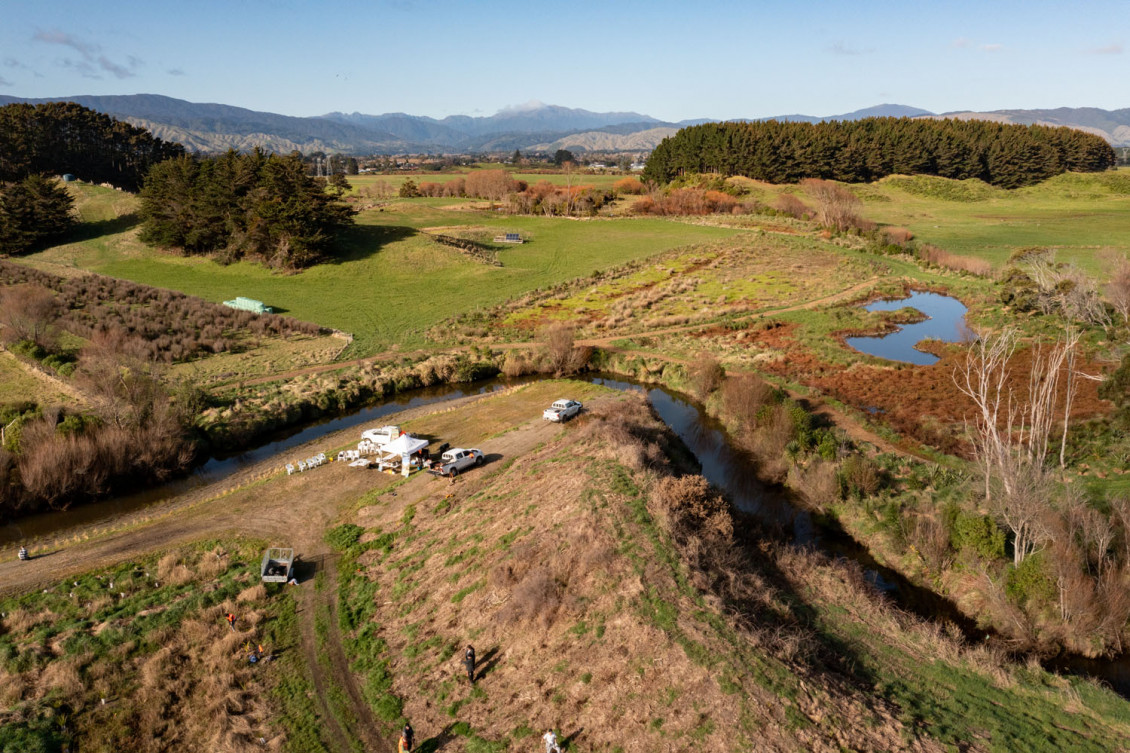 A birds-eye view of Waitohu Stream on the planting day