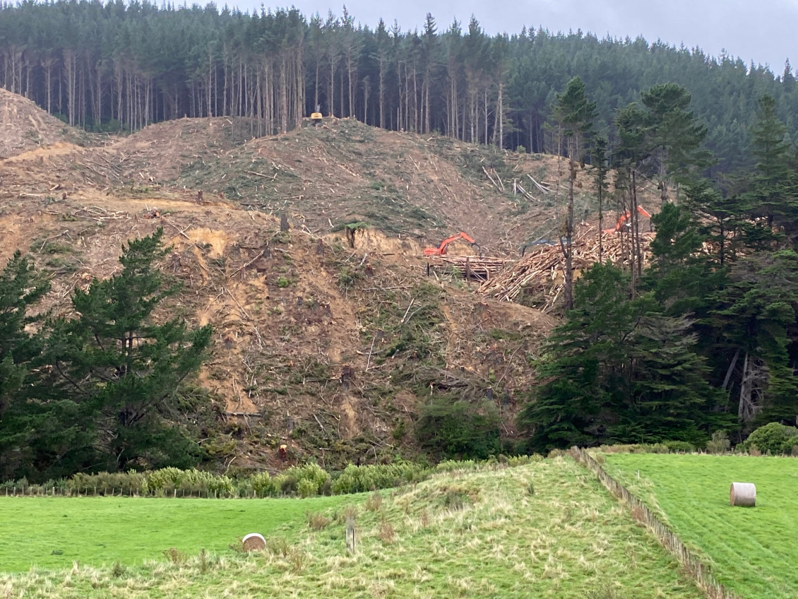 A view of a harvested hillside at Battle Hill