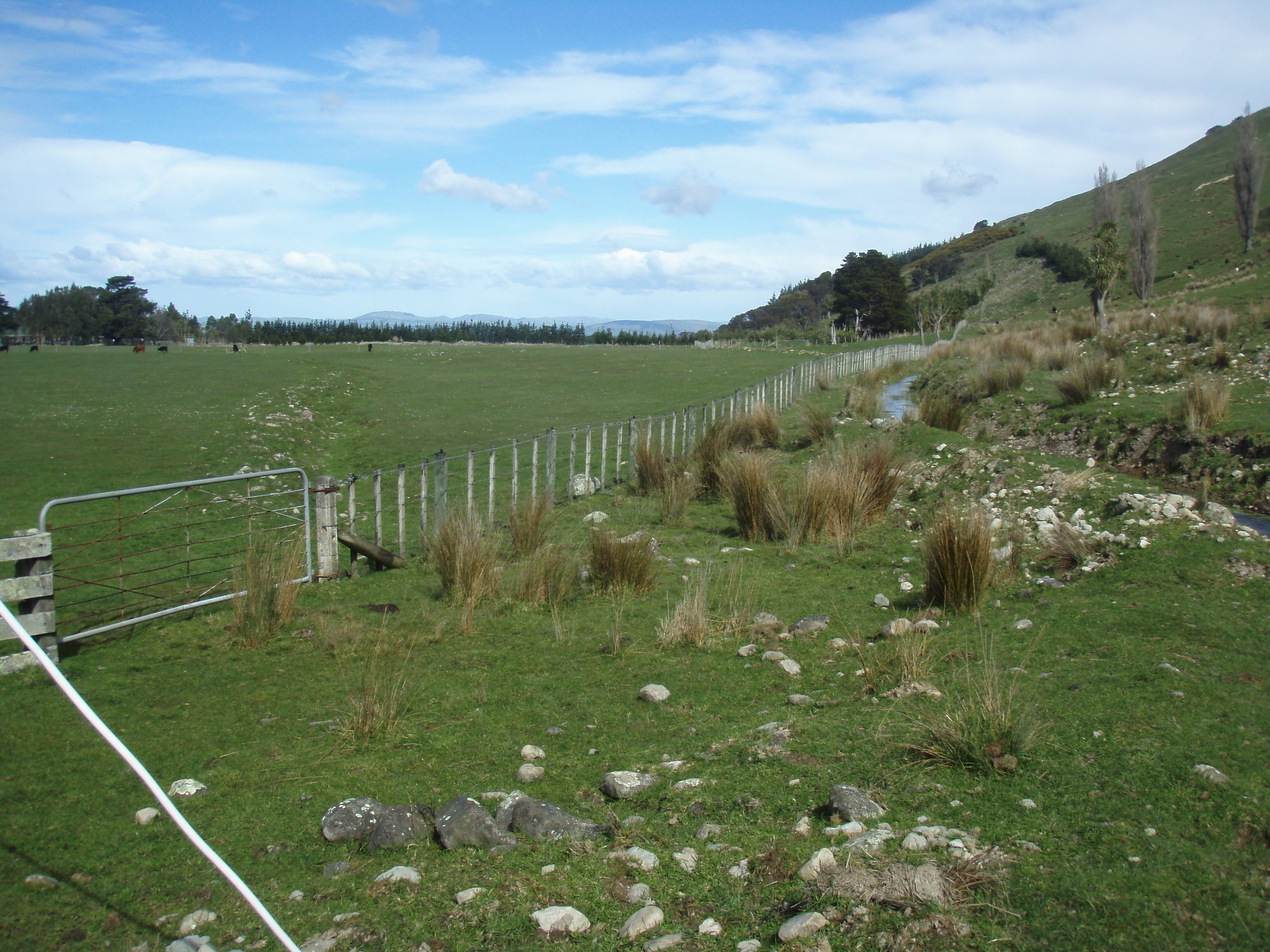 View of a field with a water race