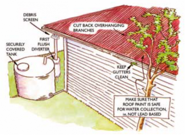 Diagram showing roof rainwater guidelines; a securely covered tank, first flush diverter, debris screen, cutting back overhanging branches, keeping gutters clean, ensuring that the roof is safe for water collection, i.e. not lead based