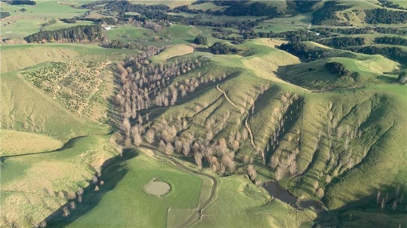 Aerial view of a farm and paddock with erosion control planting