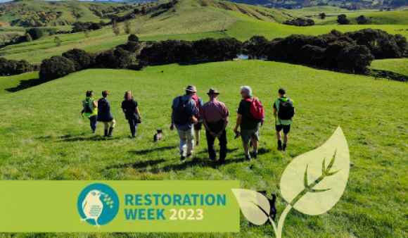 Te Taiao Webinar 3