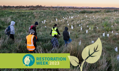 A group of people walk among young plants, overlaid with the title Restoration Week 2023