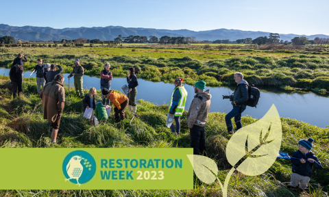 A group of adults and children stand on the grassy bank of a river, overlaid with the title Restoration Week 2023