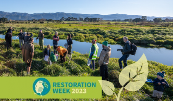 Te Taiao Webinar 2