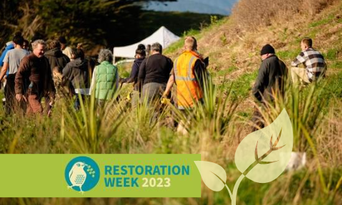 A crowd of volunteers with young plants in the foreground, overlaid with the title Restoration Week 2023