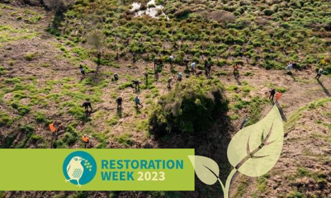 A drone shot of volunteers in a field, overlaid with the title Restoration Week 2023
