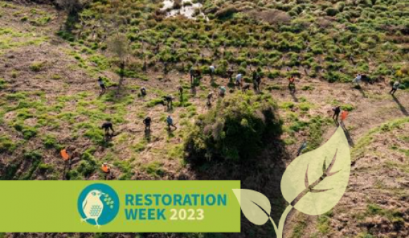 Te Taiao Webinar 6